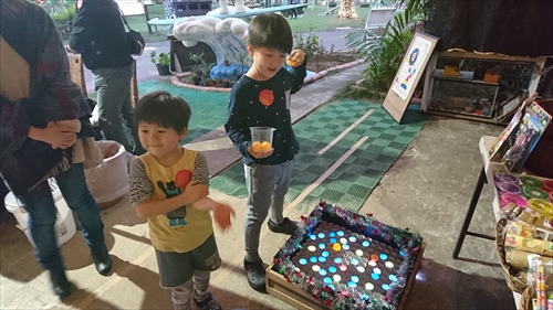 10日・東南植物楽園の光の散歩道！